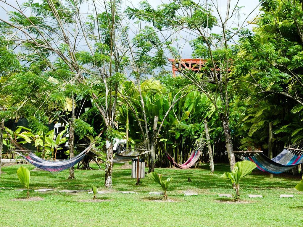 Arenal Backpackers Resort La Fortuna المظهر الخارجي الصورة Hammocks in the garden of a hostel in Central America