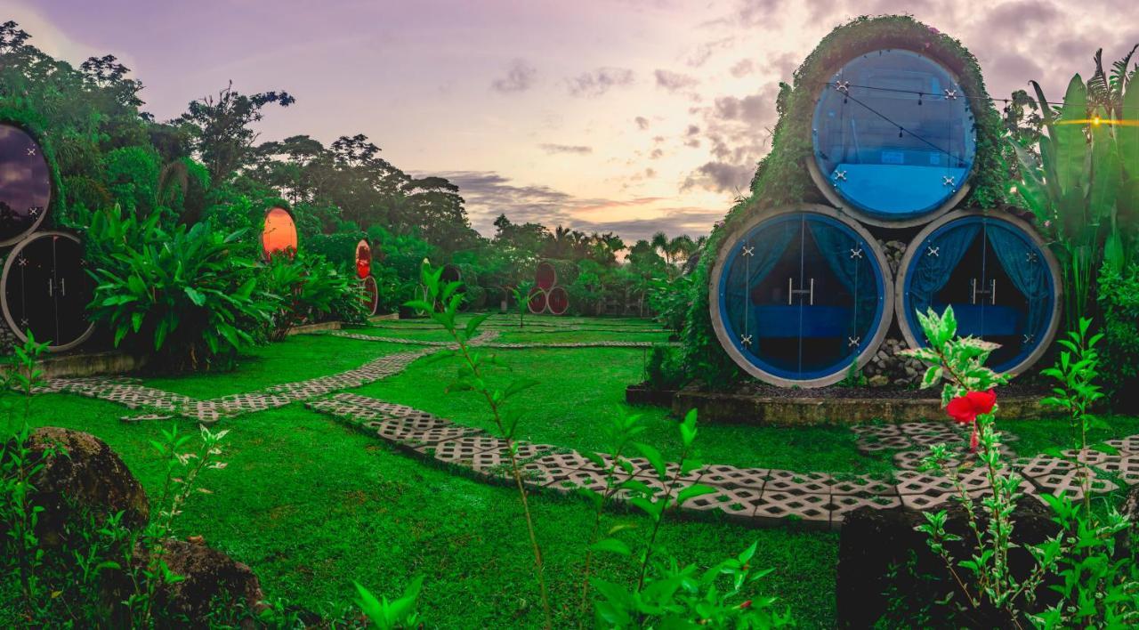 Arenal Backpackers Resort La Fortuna المظهر الخارجي الصورة The resort's main building