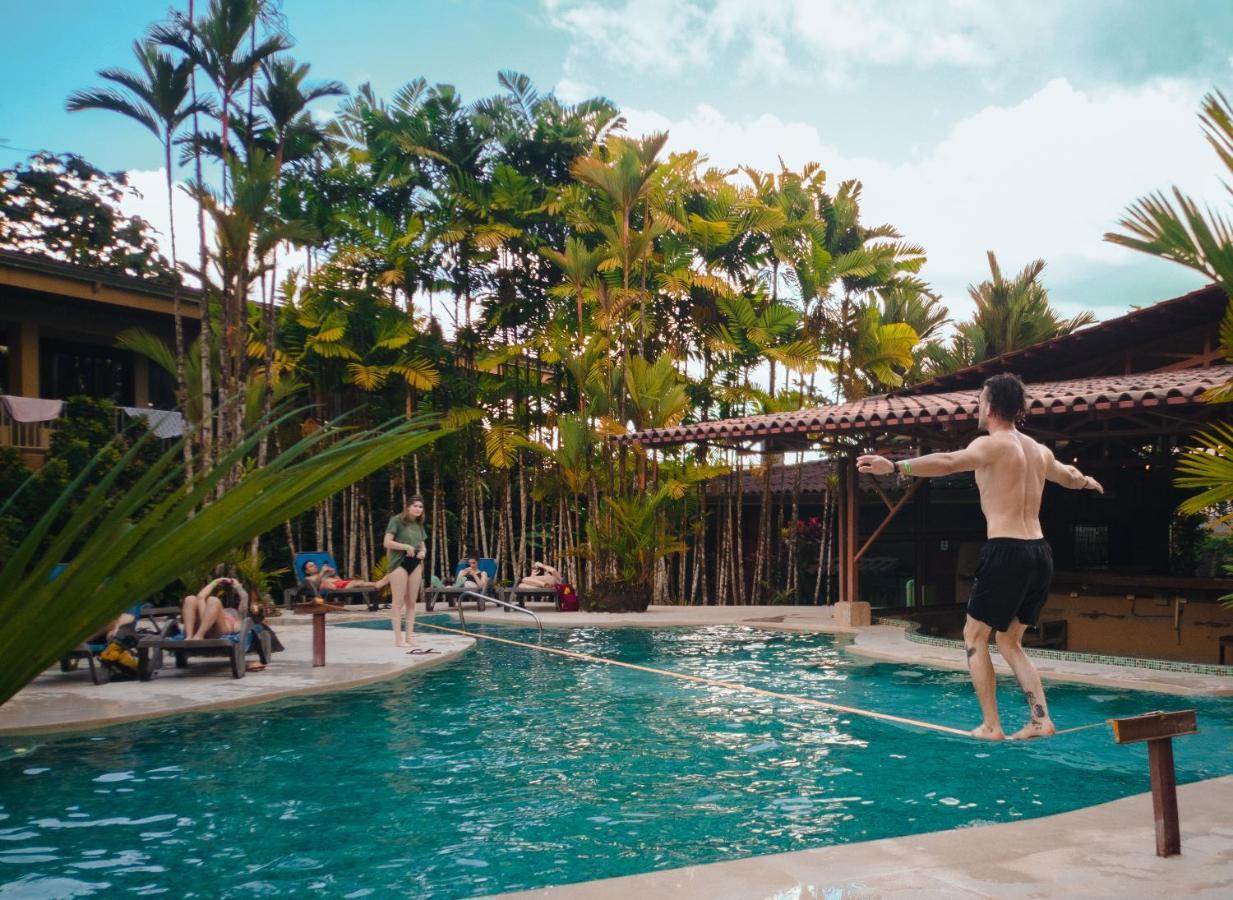 Arenal Backpackers Resort La Fortuna المظهر الخارجي الصورة A swimming pool in the resort