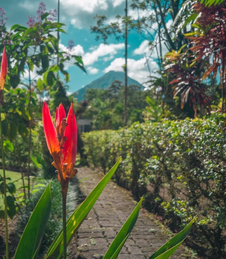 Arenal Backpackers Resort La Fortuna المظهر الخارجي الصورة A view of Mount Apo