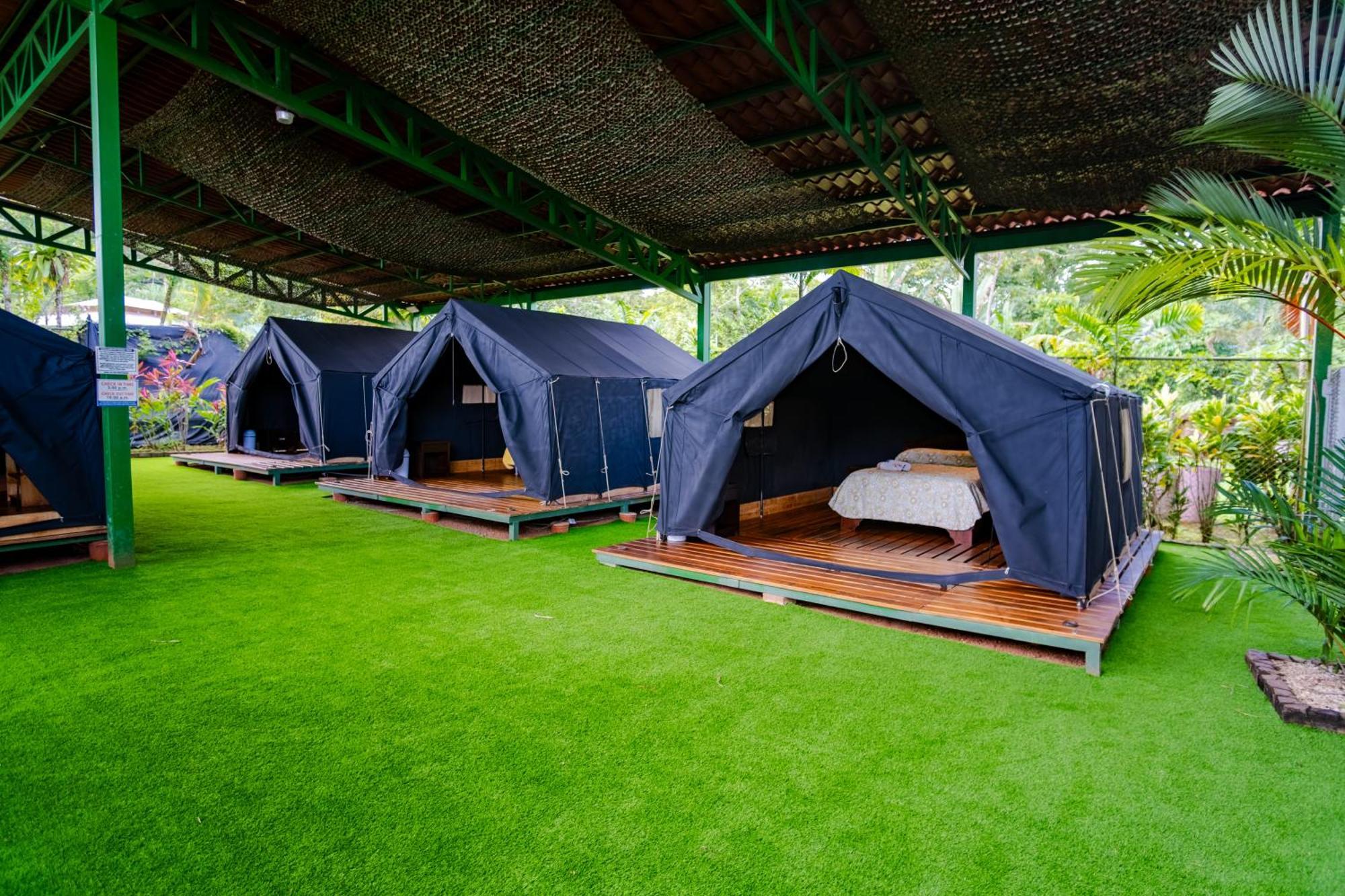 Arenal Backpackers Resort La Fortuna المظهر الخارجي الصورة Campsite at the resort