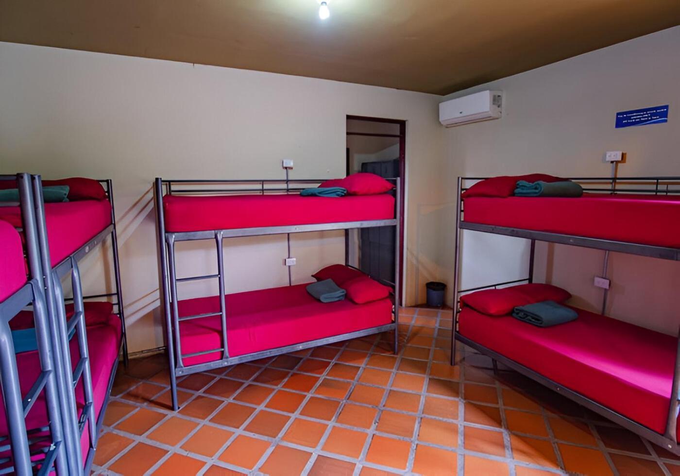 Arenal Backpackers Resort La Fortuna المظهر الخارجي الصورة Hostel in Mexico City