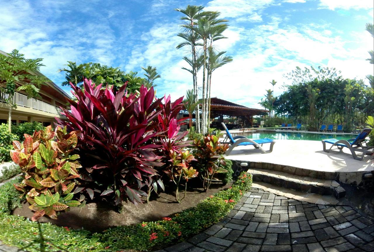 Arenal Backpackers Resort La Fortuna المظهر الخارجي الصورة The pool at the resort