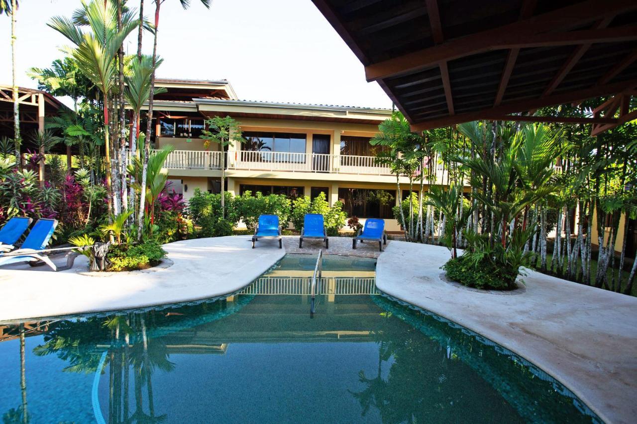 Arenal Backpackers Resort La Fortuna المظهر الخارجي الصورة The swimming pool at the hotel
