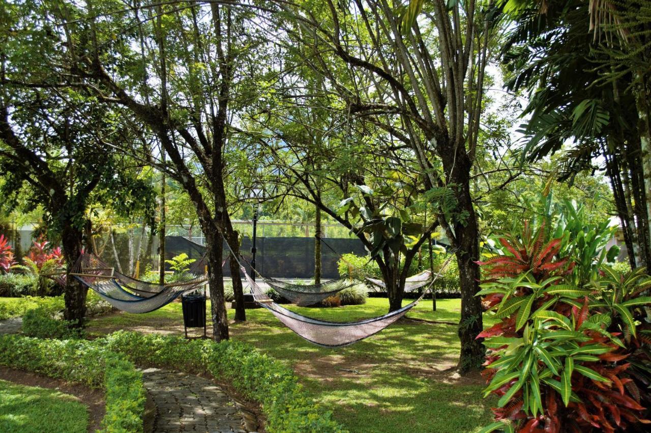 Arenal Backpackers Resort La Fortuna المظهر الخارجي الصورة Hammocks at the University of Hawaii at Hilo